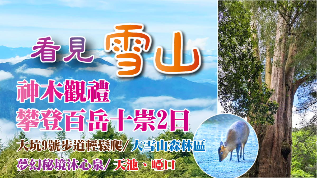 看見雪山｜神木觀禮x攀登百岳十崇 大坑步道~9號步道輕鬆爬、夢幻秘境沐心泉、大雪山森林區、天池、啞口二日行程特色圖片1