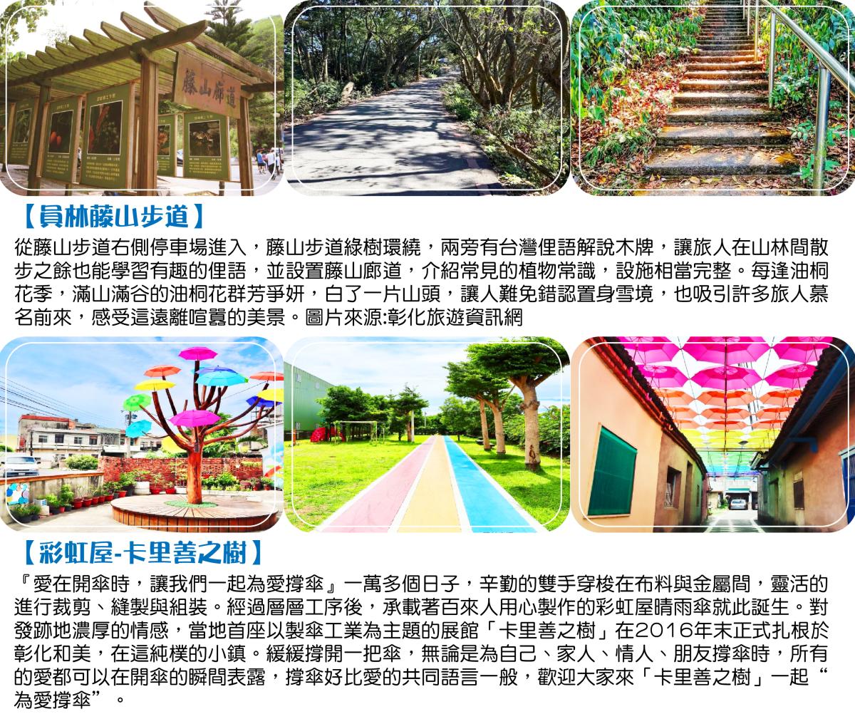 遠眺聖稜線馬那邦山．藤山步道．彩虹屋-卡里善之樹．台中智選逢甲館二日行程特色圖片1